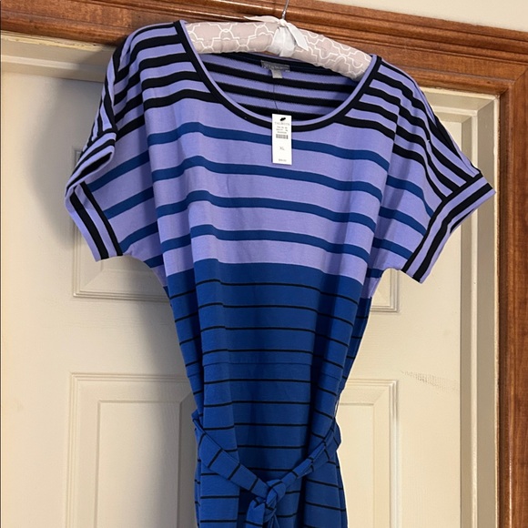 NWT Talbots Blue Raglan Sleeve Sheath Dress - Picture 4 of 10